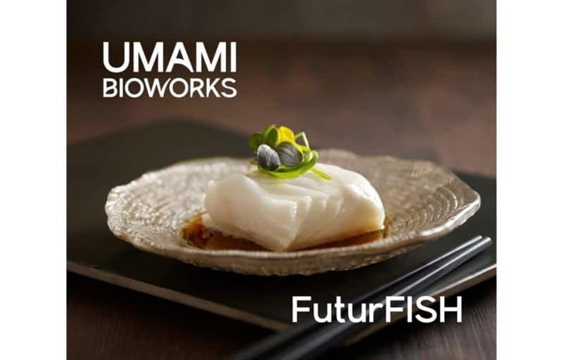 3D Printing News Briefs, April 4, 2026: 3D Printed Food, Cocoa Press, & More3DPrint.com | Additive Manufacturing Business 2 1732679173670 caRwz2