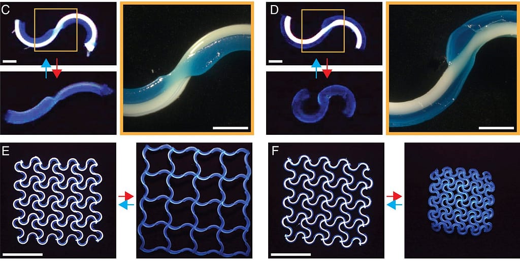 Harvard’s Jennifer Lewis Lab Is 3D Printing Artificial Muscles That Twist and Bend on Demand3DPrint.com | Additive Manufacturing Business 2 pnas.2537250123fig03 scaled e1778008698846 9HnatV