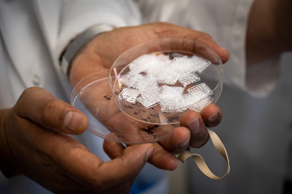 3D Printed Bone Grafts From Georgetown Researchers Could Replace Traditional Implants3DPrint.com | Additive Manufacturing Business 2 DSC 5826 20481365 5K2XT2