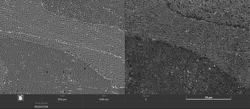 Alloyed Develops New 1000°C Alloy for 3D Printed Flight-Ready Jet Engine Parts3DPrint.com | Additive Manufacturing Business 2 Microstructure ABD10005 scaled sNwR8a