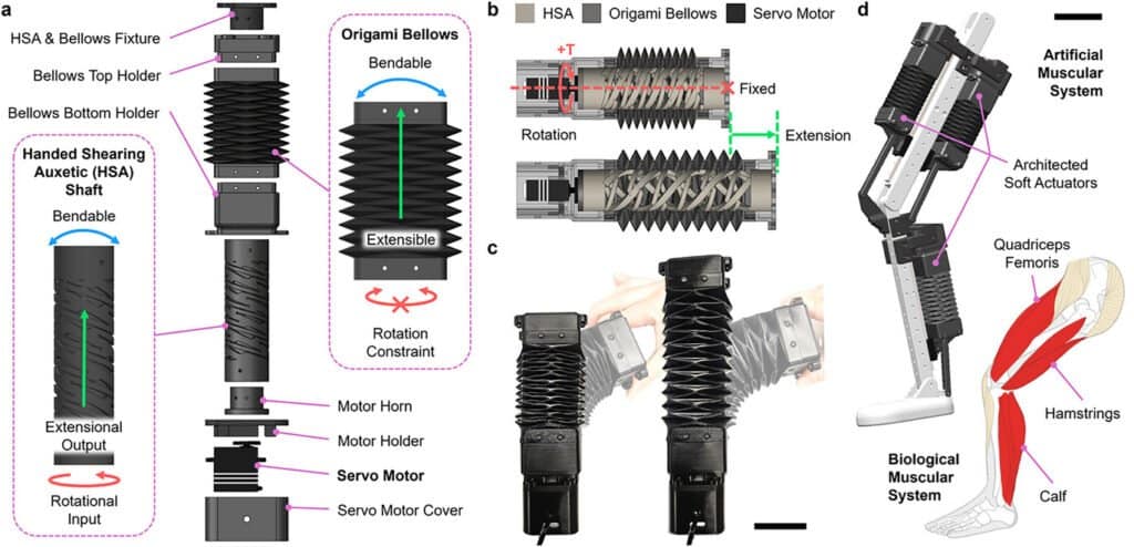 Soft Robotics is Finally Coming Together: Northwestern Researchers Make Strides Towards a Better Actuator3DPrint.com | Additive Manufacturing Business 2 adma70066 fig 0001 m 1024x494 A7zOO7