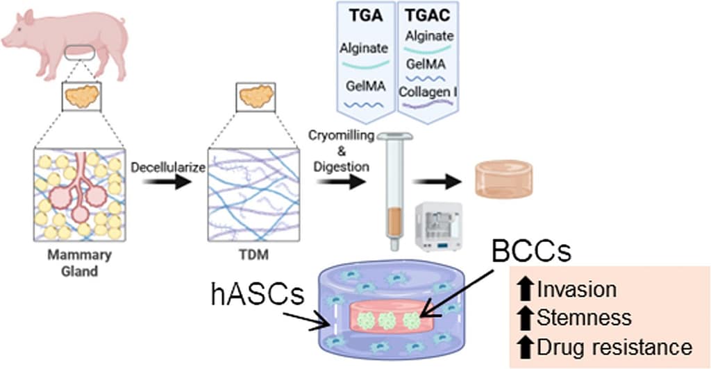 October in Pink: 3D Printing’s Role in Healing and Hope3DPrint.com | Additive Manufacturing Business 2 1 s2.0 S1742706125005525 ga1 lrg