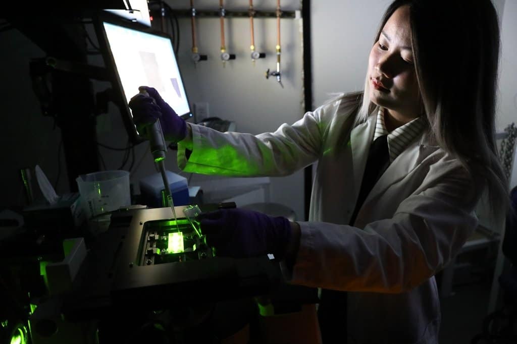 Bioprinting, Organoids, & Organs-on-a-Chip Work Together to Battle Cancer3DPrint.com | Additive Manufacturing Business 2 20240919iaolinNan17 e4d537c9 9735 4c28 b575 d58f5ff2e757 prv o5E54O