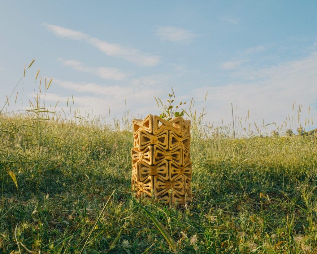 3D Printed Interlocking Earthen Bricks Create Microclimates to Support Tree Growth3DPrint.com | Additive Manufacturing Business 2 DSCF7820 1024x820