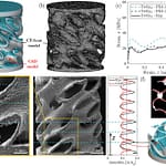 adma71173 fig 0005 m 1024x692