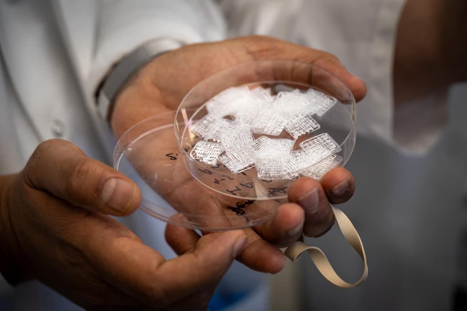 3D Printed Bone Grafts From Georgetown Researchers Could Replace Traditional Implants3DPrint.com | Additive Manufacturing Business 5 DSC 5826 20481365 5K2XT2