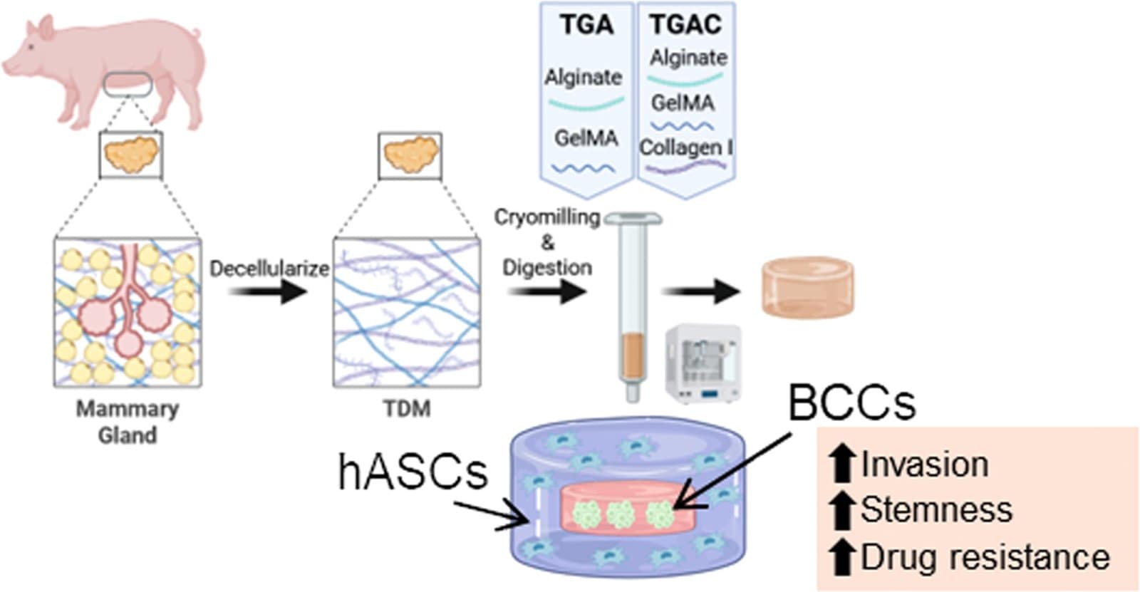 October in Pink: 3D Printing’s Role in Healing and Hope3DPrint.com | Additive Manufacturing Business 10 1 s2.0 S1742706125005525 ga1 lrg