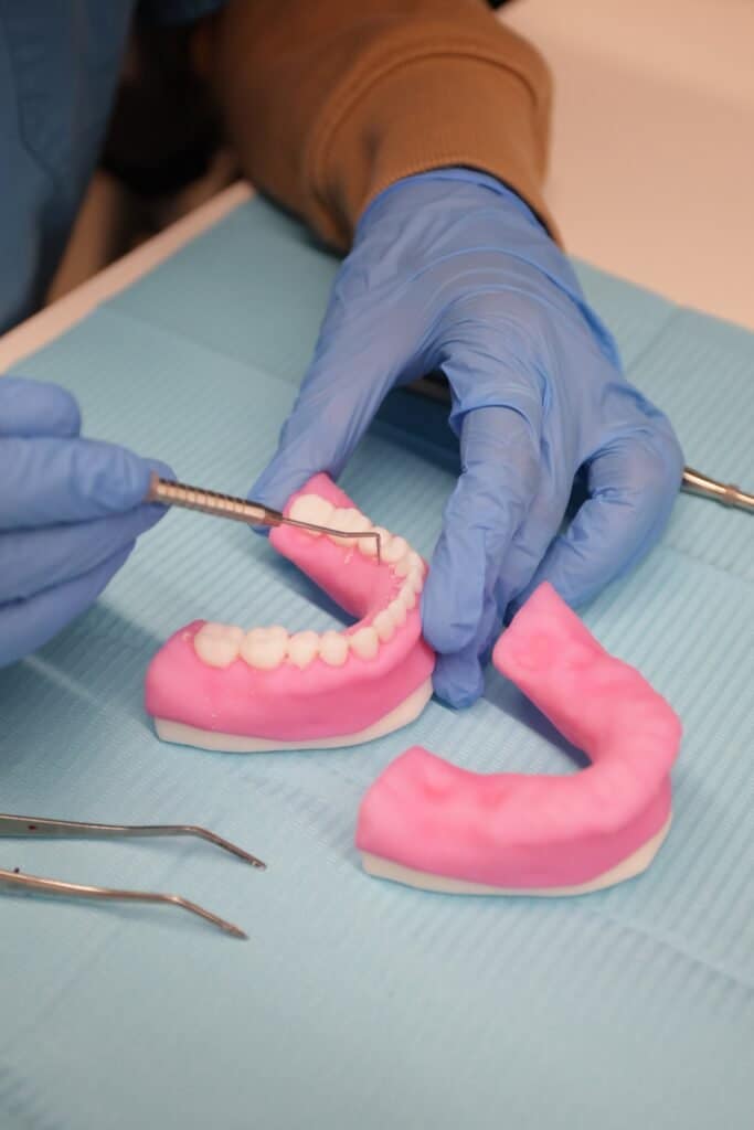 Stratasys Unveils 3D Printed Dental Anatomical Model Preset3DPrint.com | Additive Manufacturing Business 8 STRP049 Image 2 683x1024 TLEYDI