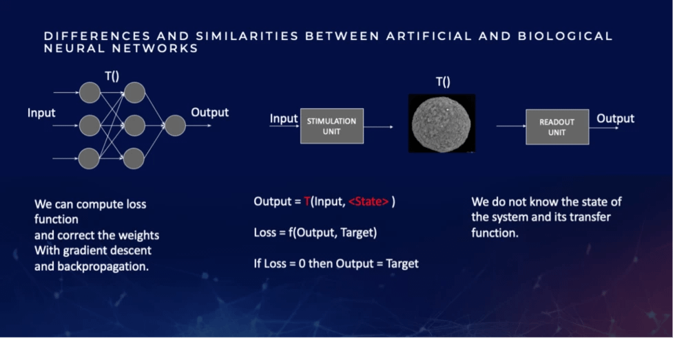 Could 3D Printing for Biocomputing Make Wetware Aware?3DPrint.com | The Voice of 3D Printing / Additive Manufacturing 2 Picture 1 980493 iAh7jF